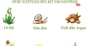THÀNH PHẦN THIÊN NHIÊN SỐ 1 TRONG VIỆC LÀM ĐẸP ĐƯỢC SCENTUALS ĐÚC KẾT VÀO SẢN PHẨM